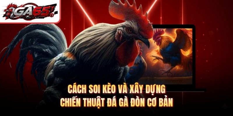 Cách soi kèo và xây dựng chiến thuật đá gà đòn cơ bản