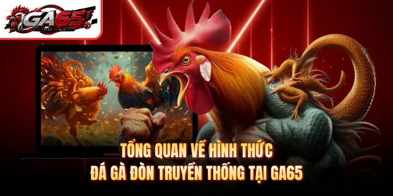 Tổng quan về hình thức đá gà đòn truyền thống tại GA65